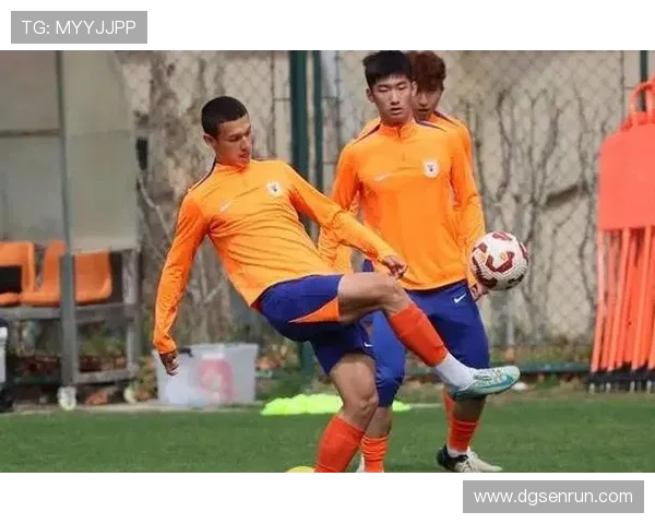 山东泰山青年才俊 山东泰山青年才俊