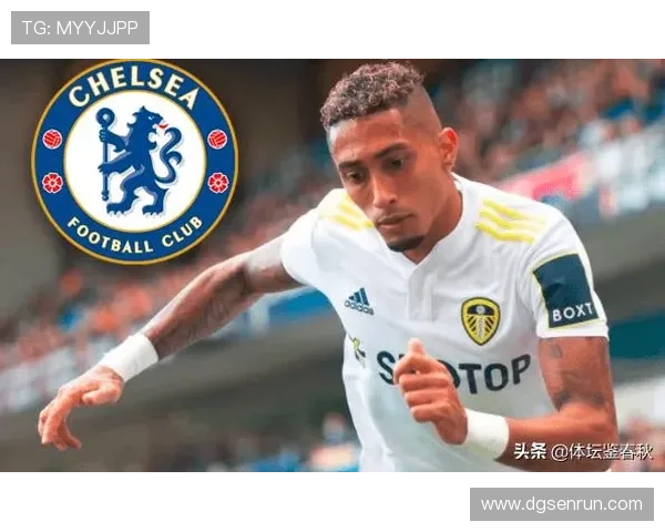 拉菲尼亚：边路爆点到稳定输出的角色进化解析