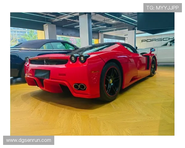 恩佐刚买了辆好几百万的豪车，邻居一看直接傻了眼，平时还挺低调的咋突然变这么奢侈？